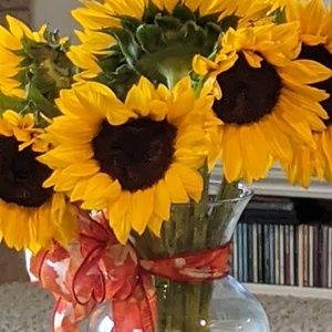 Meet your Posher, Margaret ann